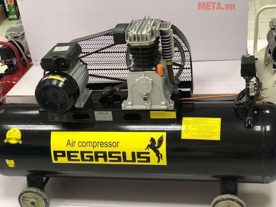 Pegasus TM-V-0.25/8