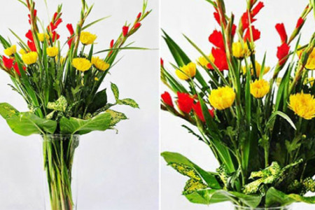 3 Cách cắm hoa lay ơn và cúc ngày Tết đẹp, tươi lâu